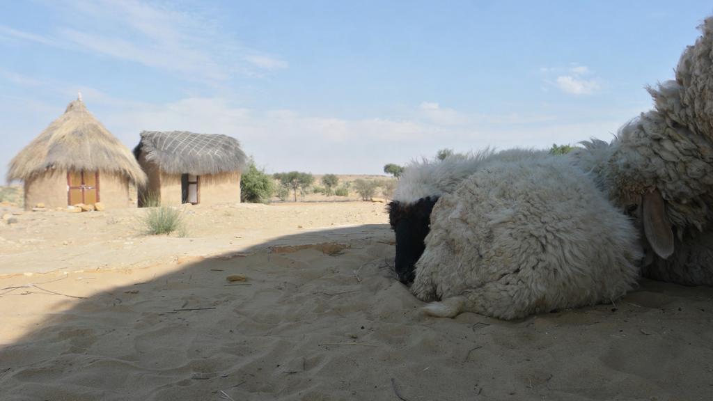 Mala Ki Dhani Jaisalmer Esterno foto